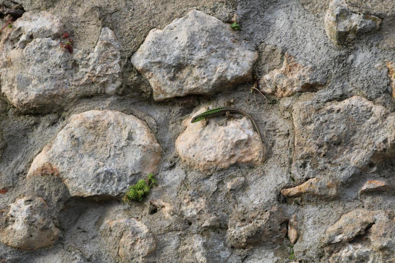 Гостьовий будинок Il Fienile Nella Roccia Казоле-д'Ельса Екстер'єр фото